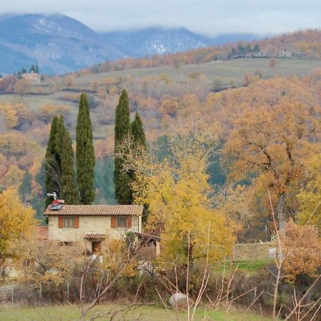 Agriturismo Mandrioli Pratovecchio Zewnętrze zdjęcie