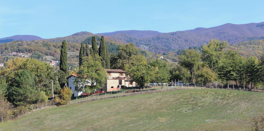 Agriturismo Mandrioli Pratovecchio Zewnętrze zdjęcie