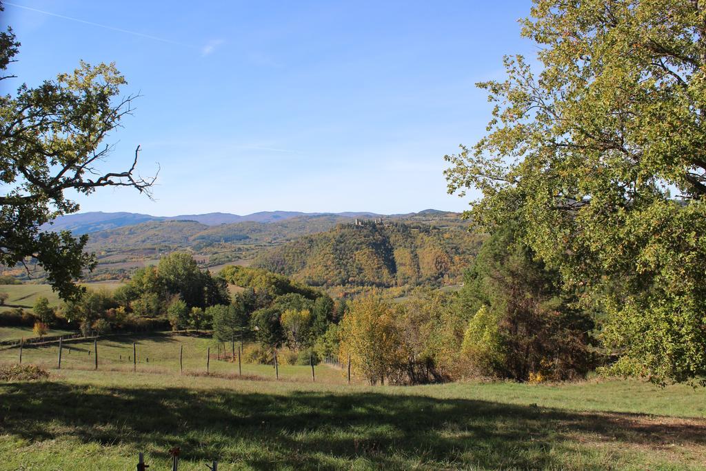 Agriturismo Mandrioli Pratovecchio Zewnętrze zdjęcie